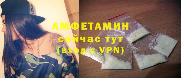 индика Горнозаводск