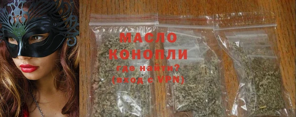 индика Горнозаводск