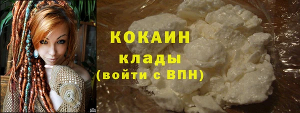 дурь Горняк
