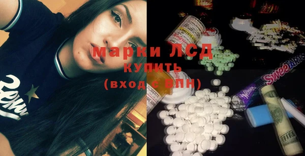 индика Горнозаводск