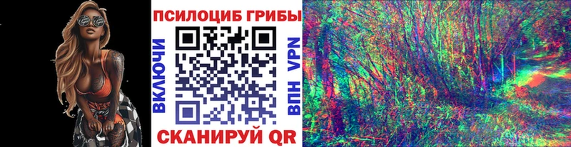 как найти закладки  blacksprut tor  Галлюциногенные грибы мицелий  Ивантеевка 